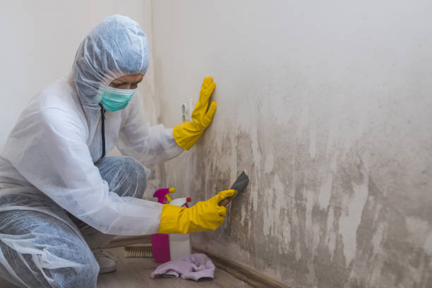 Best Certified Mold Removal  in Lincoln Beach, OR