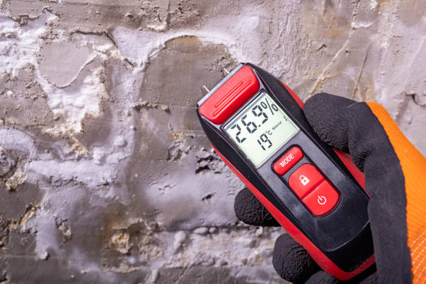 Professional Mold Removal in Lincoln Beach, OR