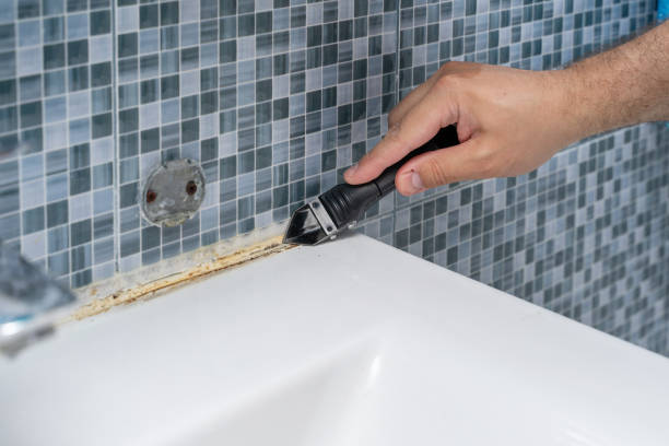 Best Mold Removal Near Me  in Lincoln Beach, OR