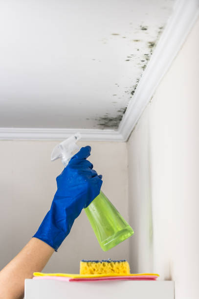 Best Mold Remediation Services  in Lincoln Beach, OR