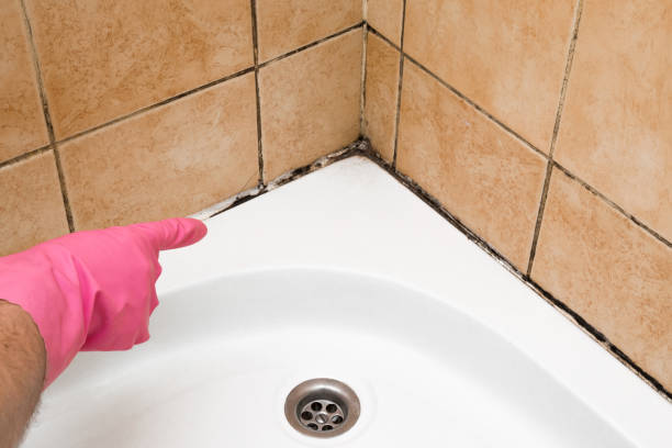 Best Emergency Mold Removal  in Lincoln Beach, OR